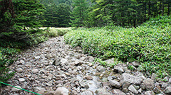 20130824145_thumb.jpg
