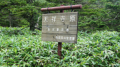 20130824147_thumb.jpg