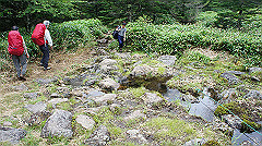 20130824151_thumb.jpg