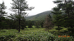 20130824156_thumb.jpg