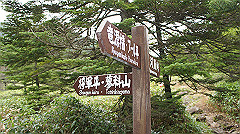 20130824157_thumb.jpg