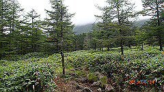 20130824158_thumb.jpg
