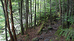 20130824162_thumb.jpg