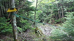 20130824163_thumb.jpg