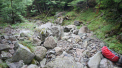 20130824165_thumb.jpg