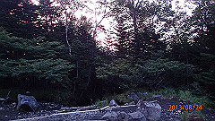 20130824174_thumb.jpg