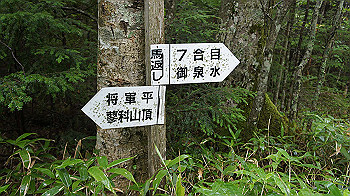 20130825008_thumb.jpg
