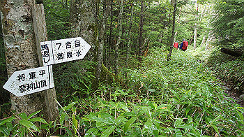20130825009_thumb.jpg