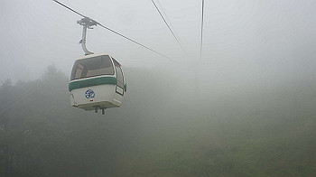 20130825029_thumb.jpg