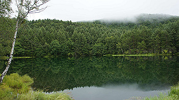 20130825037_thumb.jpg
