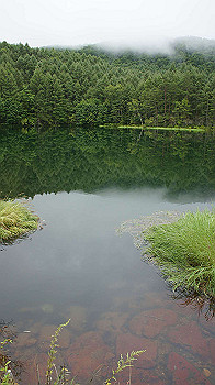 20130825038_thumb.jpg