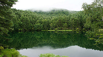 20130825051_thumb.jpg
