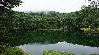 20130825056_thumb.jpg