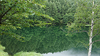 20130825067_thumb.jpg