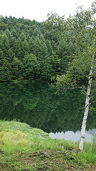 20130825070_thumb.jpg