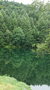 20130825071_thumb.jpg