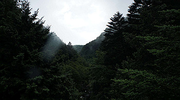 20130825092_thumb.jpg