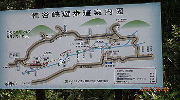 20130826036_thumb.jpg