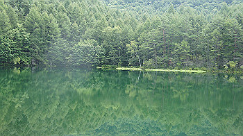 20130826076_thumb.jpg