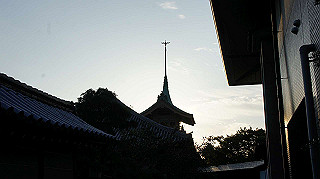 dsc00035_thumb.jpg