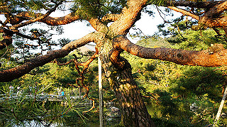 dsc00042_thumb.jpg