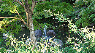 dsc00043_thumb.jpg