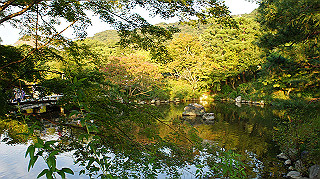 dsc00045_thumb.jpg