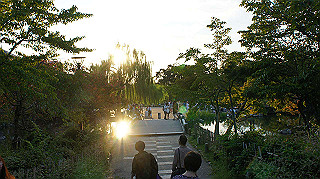 dsc00049_thumb.jpg