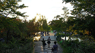 dsc00050_thumb.jpg