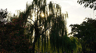 dsc00051_thumb.jpg
