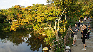 dsc00055_thumb.jpg
