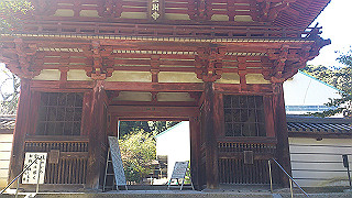 dsc_0771_thumb.jpg