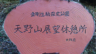 dsc_0803_thumb.jpg
