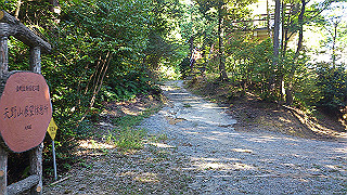 dsc_0805_thumb.jpg