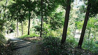 dsc00006_thumb.jpg