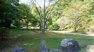 dsc00008_thumb.jpg