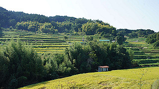 dsc00012_thumb.jpg