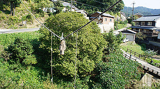 dsc00014_thumb.jpg