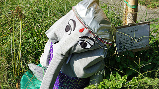 dsc00024_thumb.jpg