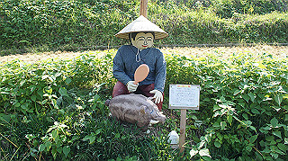 dsc00025_thumb.jpg