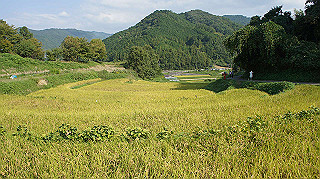 dsc00045_thumb.jpg