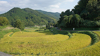 dsc00046_thumb.jpg