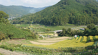 dsc00051_thumb.jpg