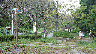 dsc00066_thumb.jpg