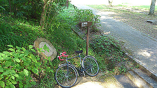 dsc_0831_thumb.jpg