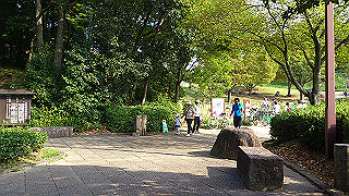 dsc_0835_thumb.jpg