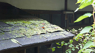 dsc00008_thumb.jpg