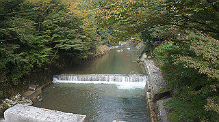 dsc00011_thumb.jpg