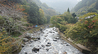 dsc00012_thumb.jpg
