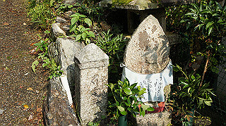 dsc00018_thumb.jpg